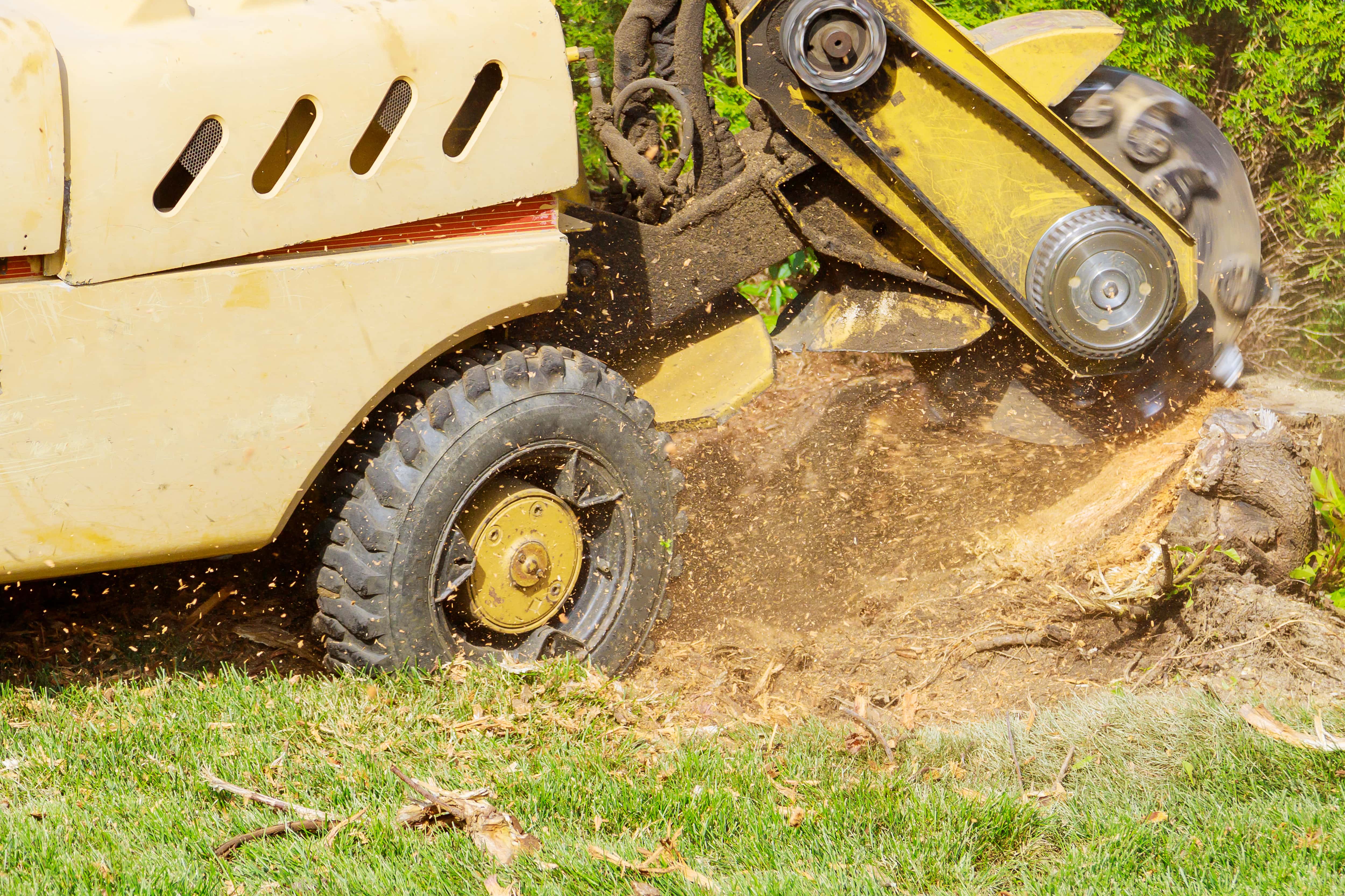an image of a stump grinding machine