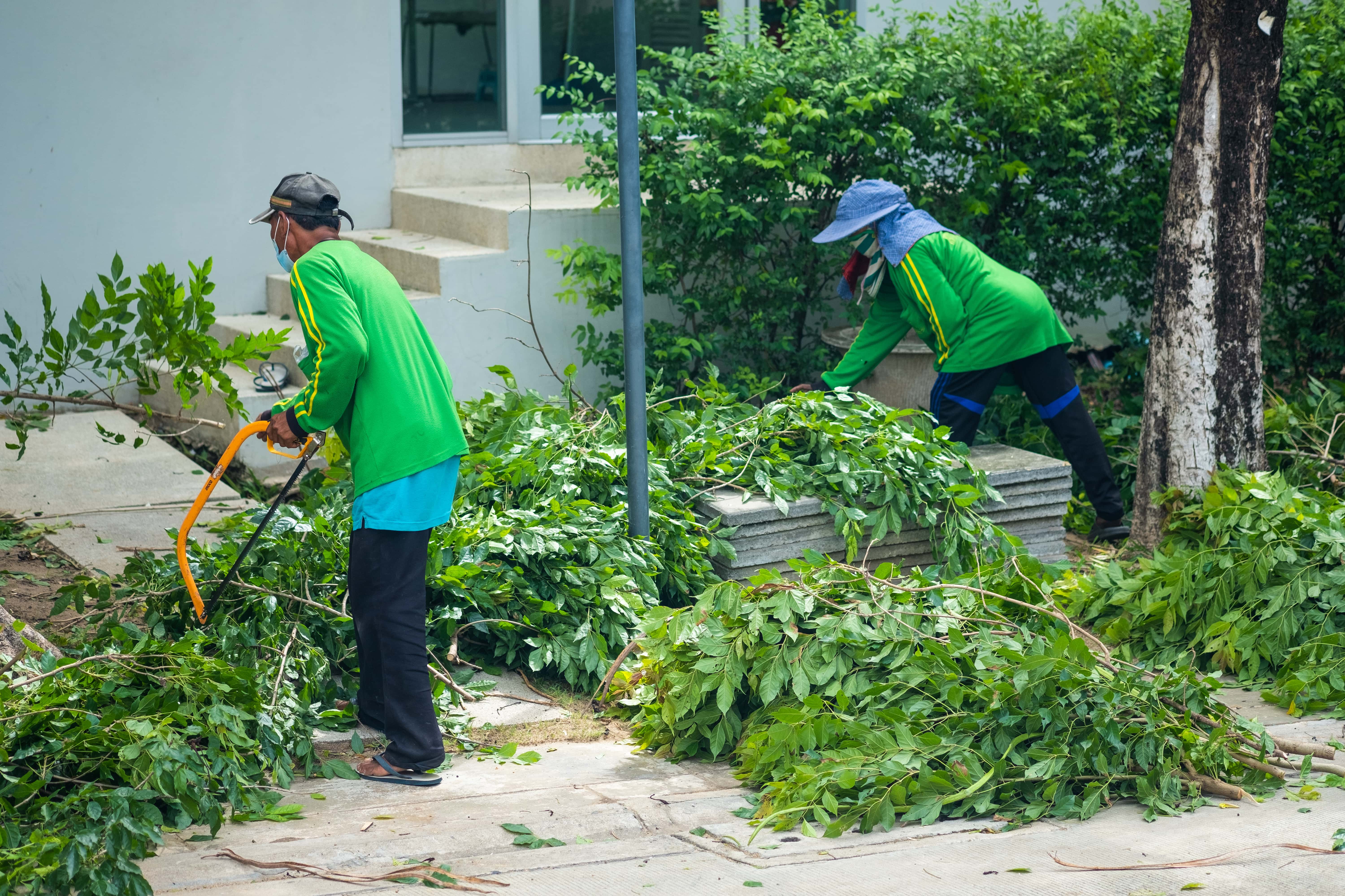 an image of men cleaning up cut down branches